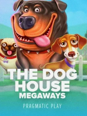 The Dog House Megaways at Stay